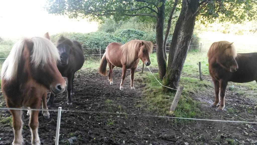 Ferienwohnung Am Zeitenweg Windeck Exteriér fotografie